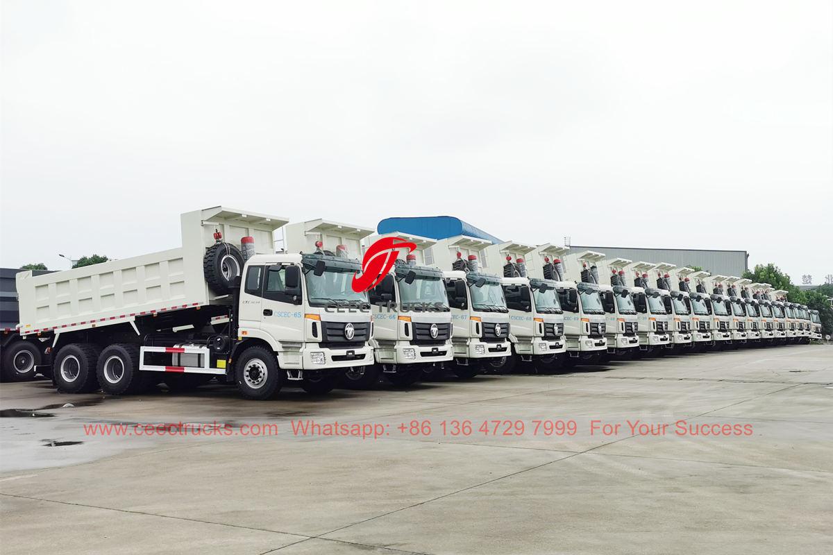 FOTON 10 wheel dump truck FOTON 10 wheel dump truck